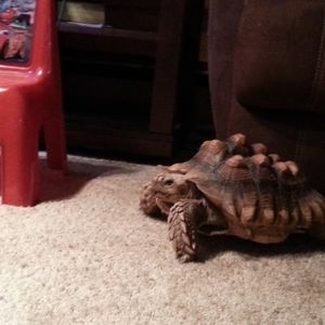 Meet your Posher, Eric